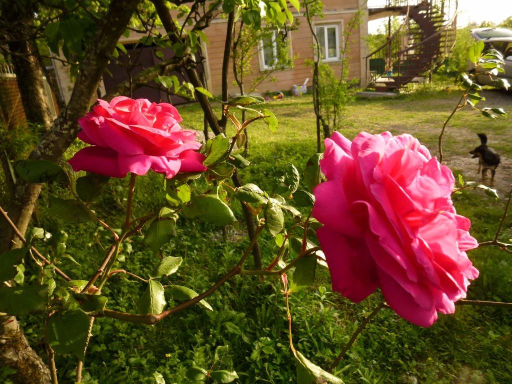 Country House Uliana Tskaltubo ภายนอก รูปภาพ