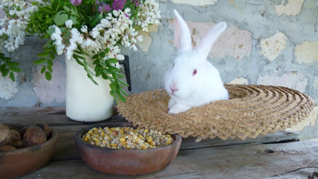 Country House Uliana Tskaltubo ภายนอก รูปภาพ