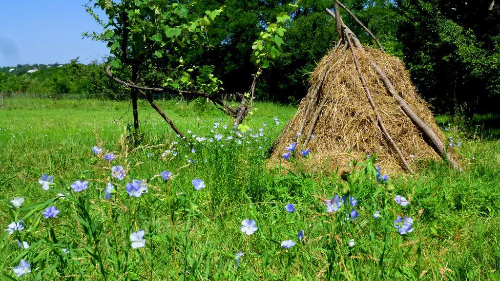 Country House Uliana Tskaltubo ภายนอก รูปภาพ