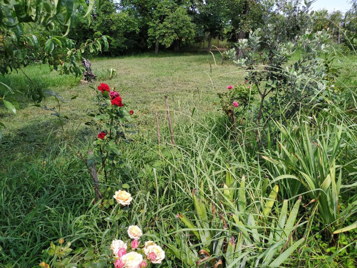 Country House Uliana Tskaltubo ภายนอก รูปภาพ